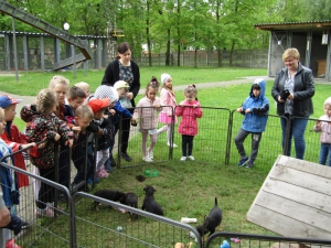 W Schronisku dla Bezdomnych Zwierząt w Radomsku