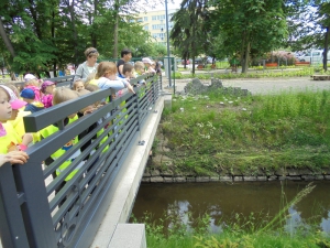 Dom nad stawem
