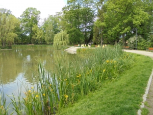 Dom nad stawem