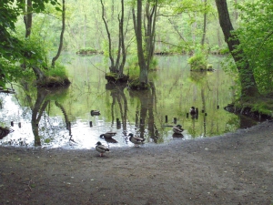 Niebieskie źródła