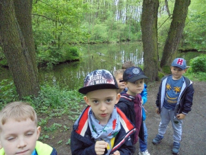 Niebieskie źródła