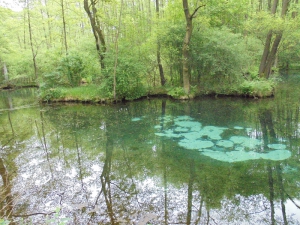 Niebieskie źródła