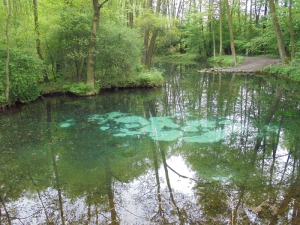 Niebieskie źródła