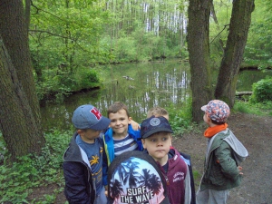 Niebieskie źródła