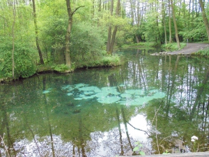 Niebieskie źródła