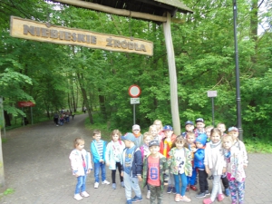 Niebieskie źródła