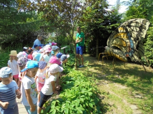 Wycieczka do parku edukacyjno-rozrywkowego ,,mikrokosmos”