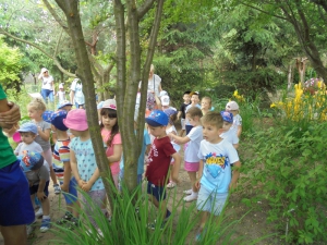 Wycieczka do parku edukacyjno-rozrywkowego ,,mikrokosmos”