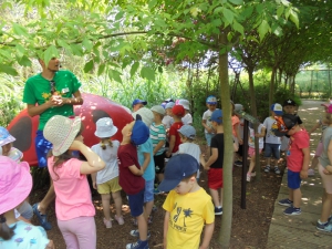 Wycieczka do parku edukacyjno-rozrywkowego ,,mikrokosmos”