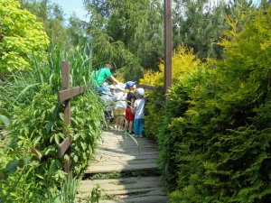 Wycieczka do parku edukacyjno-rozrywkowego ,,mikrokosmos”