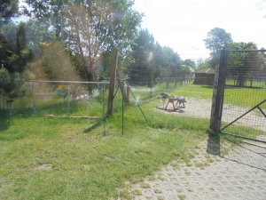 Wycieczka  do Uniejowa i Borysewa