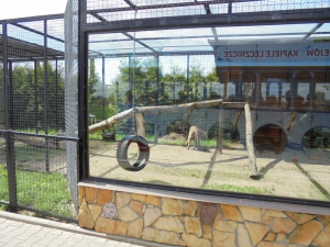 Wycieczka  do Uniejowa i Borysewa