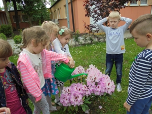 Zbieramy deszczówkę