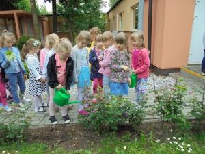 Zbieramy deszczówkę
