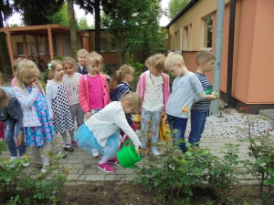 Zbieramy deszczówkę