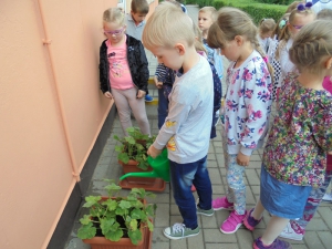 Zbieramy deszczówkę
