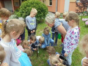 Zbieramy deszczówkę