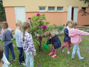 Zbieramy deszczówkę