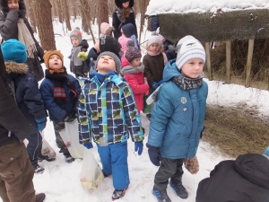 Dokarmiajmy zwierzęta w czasie zimy