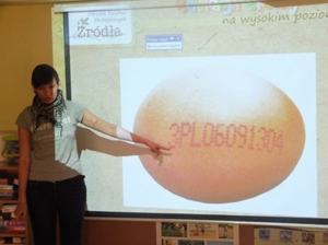 Kupuj jajka od szczęśliwych kur