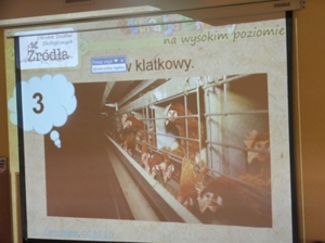 Kupuj jajka od szczęśliwych kur