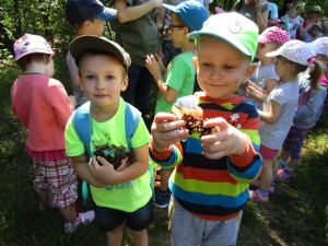 Piknik rodzinny w m. Podświerk