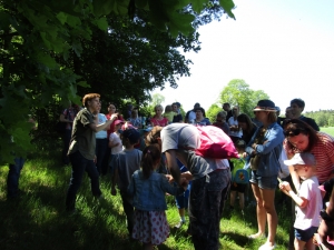 Piknik rodzinny w m. Podświerk