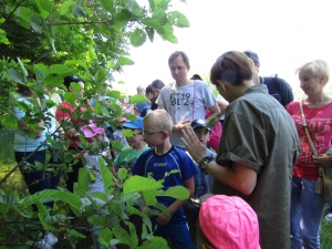 Piknik rodzinny w m. Podświerk