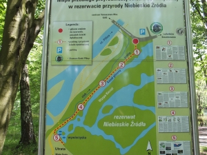 Rodzinny piknik ekologiczny