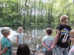 Rodzinny piknik ekologiczny