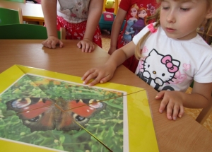 Tropiciele przyrody