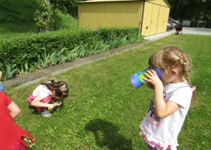 Tropiciele przyrody