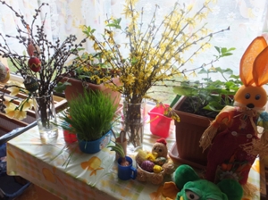Zielone ogródki w naszych salach