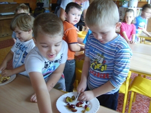 Sałatka, sałatka zdrowa