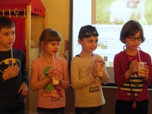Dzień kota 2017