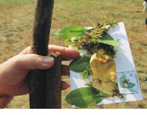 Piknik rodzinny Podświerk 2016