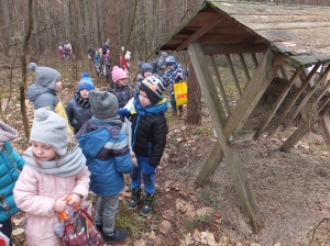 Wycieczka do lasu