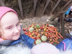 Wycieczka do lasu