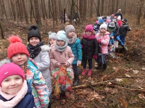 Wycieczka do lasu