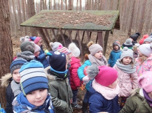 Wycieczka do lasu
