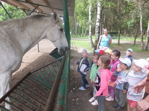 W gospodarstwie agroturystycznym Resort Malutkie. 