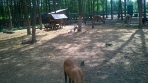 W gospodarstwie agroturystycznym Resort Malutkie. 