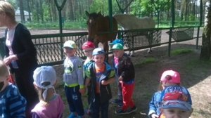 W gospodarstwie agroturystycznym Resort Malutkie. 