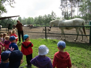 W gospodarstwie agroturystycznym Resort Malutkie. 