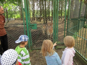 W gospodarstwie agroturystycznym Resort Malutkie. 