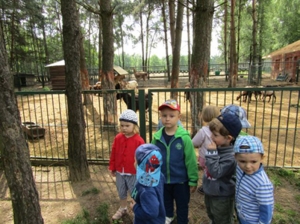 W gospodarstwie agroturystycznym Resort Malutkie. 