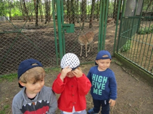 W gospodarstwie agroturystycznym Resort Malutkie. 