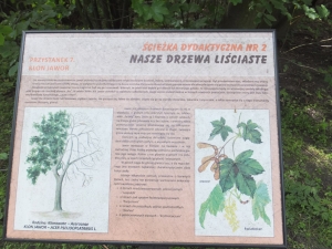 Wycieczka do Łodzi - czerwiec 2017
