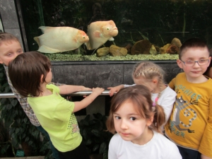 Wycieczka do łódzkiego zoo - 2017