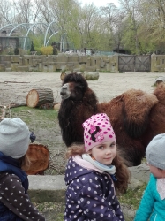Wycieczka do łódzkiego zoo - 2017